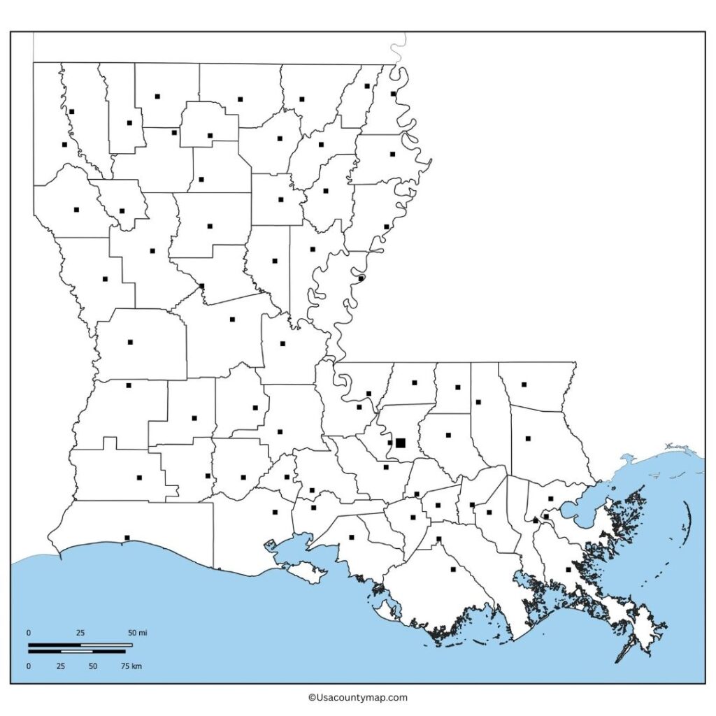 Blank Louisiana Map